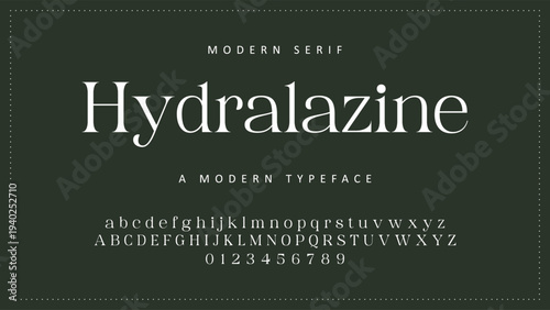 Elegant Font Uppercase Lowercase and Number. Classic Lettering Minimal Fashion Designs. Typography modern serif fonts regular decorative vintage concept. vector illustration