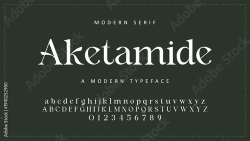 Elegant Font Uppercase Lowercase and Number. Classic Lettering Minimal Fashion Designs. Typography modern serif fonts regular decorative vintage concept. vector illustration