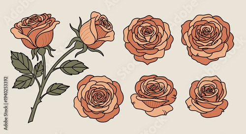 A collection of beautifully illustrated roses in various stages of bloom in vintage hand-drawn vector style, perfect for floral designs and romantic themes