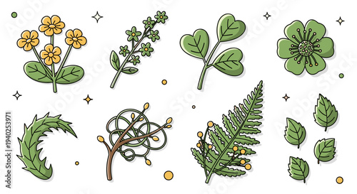 A collection of hand-drawn flowers and leaves in colorful vector style, perfect for botanical designs and nature-themed projects