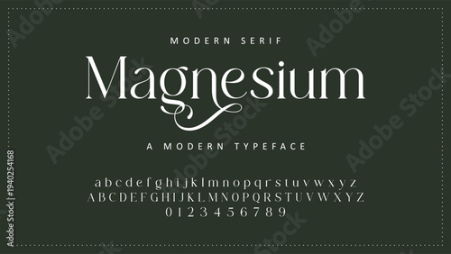 Elegant Font Uppercase Lowercase and Number. Classic Lettering Minimal Fashion Designs. Typography modern serif fonts regular decorative vintage concept. vector illustration