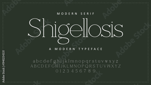 Elegant Font Uppercase Lowercase and Number. Classic Lettering Minimal Fashion Designs. Typography modern serif fonts regular decorative vintage concept. vector illustration