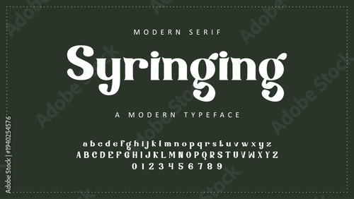 Elegant Font Uppercase Lowercase and Number. Classic Lettering Minimal Fashion Designs. Typography modern serif fonts regular decorative vintage concept. vector illustration