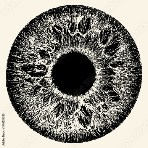 Detailed Black and White Iris Illustration, Etching Style