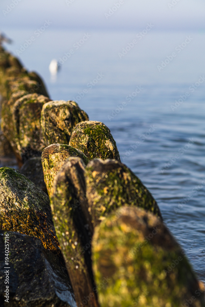 Fototapeta premium Mossy rocks forming a breakwater in the calm sea. Landscape with stony pier and seagull sitting on wooden post. Serene aquatic scenery for travel website and nature wallpaper design.