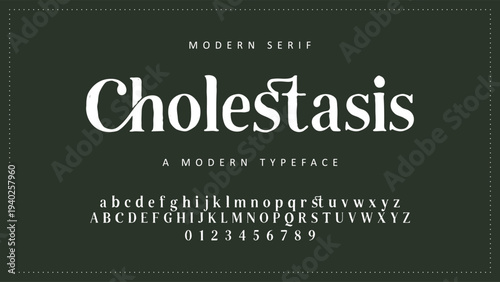 Elegant ligature alphabet letters font logo. Typography luxury classic lettering serif fonts decorative wedding vintage retro logos, design for fashion shop and brand vector illustration