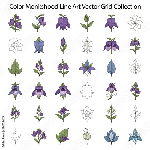 Colorful Monkshood Flower Illustration Isolated on White Background