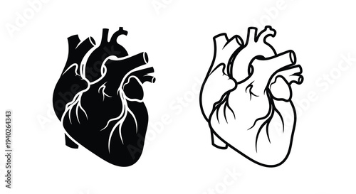 Two anatomical heart illustrations one black and one white silhouette