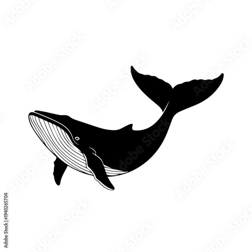 Oceanic Giant: A majestic whale gracefully navigates the depths of the ocean, its silhouette a testament to the wonders of marine life.