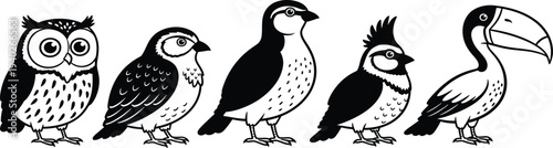 A group of five cartoon birds with distinct features