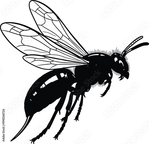A black and white illustration of a wasp in flight with detailed wings