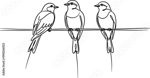 Three birds perched on a wire