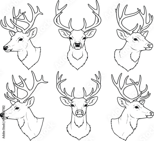 Six different deer heads with antlers in black and white line art