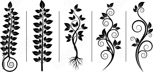 Decorative botanical vine silhouettes collection isolated on white background, elegant floral leaf ornaments, ornamental plant illustration set for design
