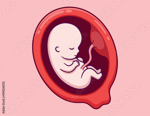 Fetus in Womb Illustration with Umbilical Cord, Medical Vector of Human Embryo Development During Pregnancy, Cartoon Style Prenatal Anatomy Graphic on Pink Background