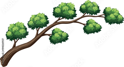 Green leafy tree branch illustration isolated on white background, natural forest foliage element, botanical plant design for landscape projects