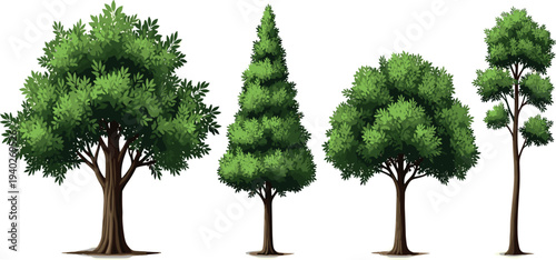 Green trees collection, realistic forest tree set, deciduous and pine trees, nature illustration, isolated tree clipart, landscaping design elements