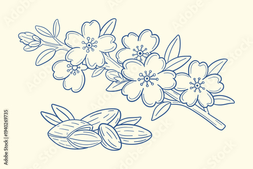 Almond blossom outline set with flowering tree branch and almonds in childlike hand drawn style