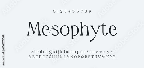 Abstract Fashion font alphabet. Minimal modern urban fonts for logo, brand etc. Typography typeface uppercase lowercase and number. vector illustration