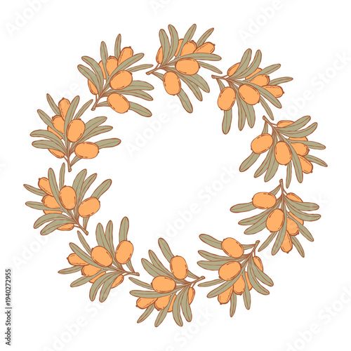 Sea Buckthorn Branch Circular Wreath. Botanical Round Frame with Orange Berries and Green Leaves with Empty Copy Space on White. Vector illustration, hand-drawn.