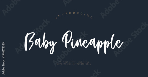 Baby Pineapple, Script Font, aesthetic, Uppercase Lowercase and Number. wedding font, Classic Lettering Minimal Fashion Designs. Typography modern serif fonts regular decorative vintage concept. 