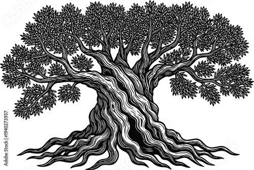 Ancient tree with spreading roots silhouette illustration, detailed nature woodland oak design symbol of life growth and strength