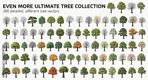 Diverse Tree Collection: A comprehensive collection of meticulously illustrated trees, each uniquely designed to capture the essence of various tree species.