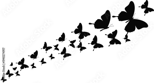 Butterfly swarm silhouette vector, flying butterflies pattern, nature insect illustration, spring garden wildlife, decorative butterfly design isolated, elegant butterfly flight