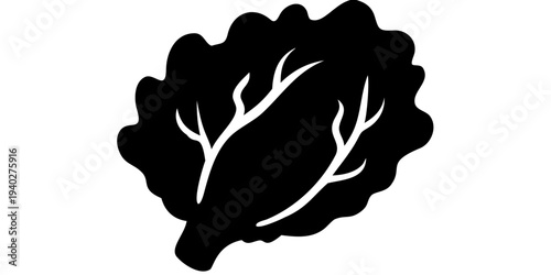 lettuce black silhouette icon, salad vegetable silhouette, transparent background