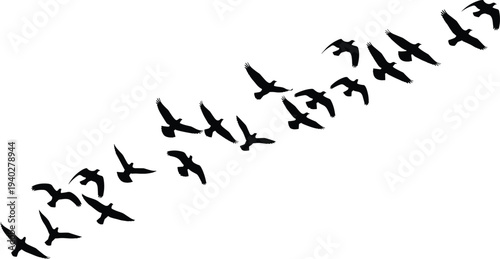 Flying birds flock silhouette in migration formation, wildlife bird flight illustration for nature, freedom, travel and sky design
