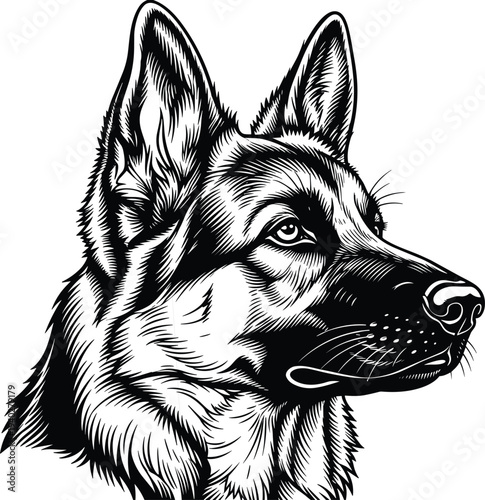 german shepherd dog head illustration, detailed black and white canine portrait, guard dog vector artwork isolated on white background