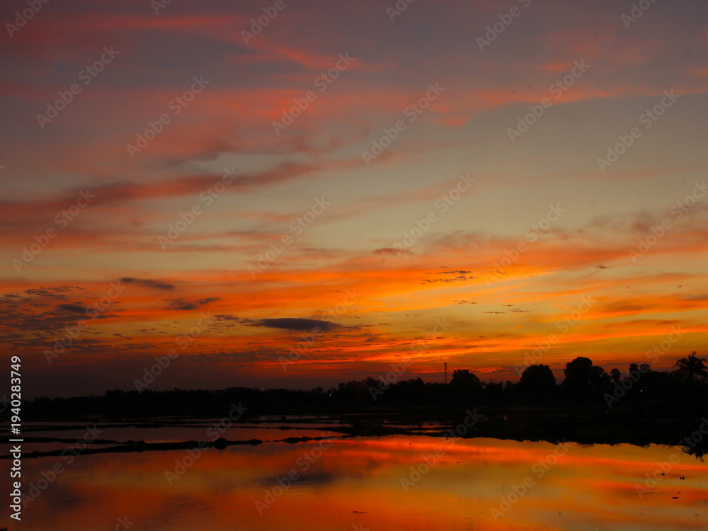Fototapeta premium The reflection of the sun on the water in the rice fields in the evening is a beautiful, natural sight.