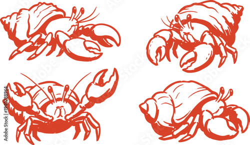 Draw Hermit Crab Set Sea Crab Shell Marine Animal Vector Illustration.