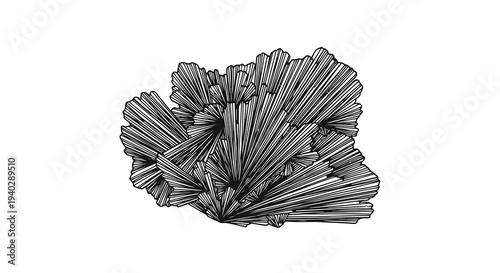 A striking black and white crystal formation against a plain white background.