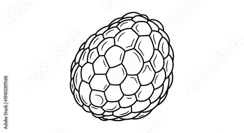 A black and white illustration of a buckminsterfullerene molecule.