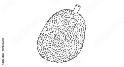 A detailed illustration of a fruit with a textured surface and stem attachment.