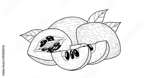 A simple line drawing of a sliced fruit with seeds and leaves.