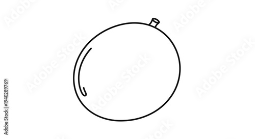 A simple line drawing of a circular object with a small attachment on top.