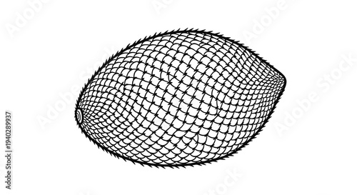 A black wire mesh sports net in the shape of a rugby ball on a white background.