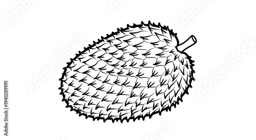 A detailed black and white illustration of a durian fruit with spiky exterior.