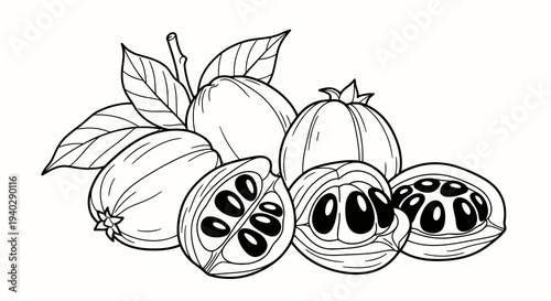 Detailed illustration of passion fruit with leaves and cut sections
