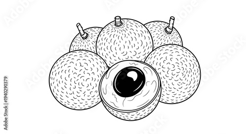 A simple line drawing of a cluster of lychees with one cut open to reveal the pit.