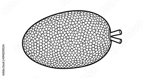A detailed illustration of a textured oval object with appendages.