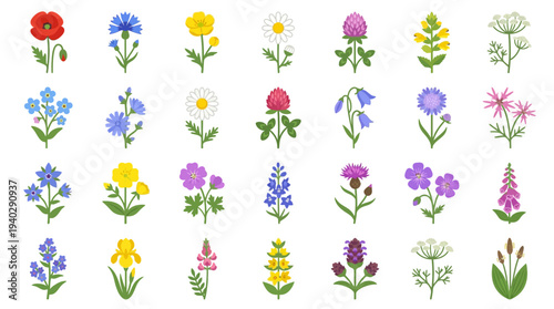 A diverse collection of colorful flowers and plants illustrated in a grid pattern on a clean background from a straightforward viewpoint