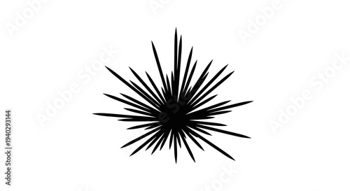 A minimalist black starburst design on a white background is visually striking.