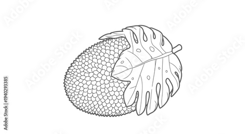 A detailed illustration of a leaf partially covering a textured sphere.