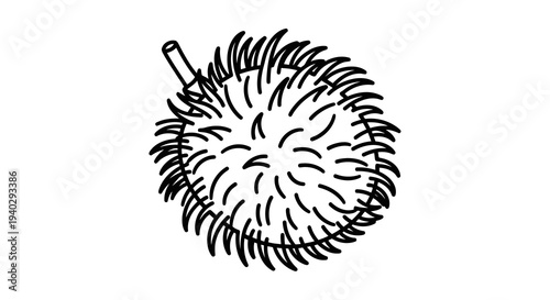 A simple black and white drawing of a spiky round fruit with a stem.