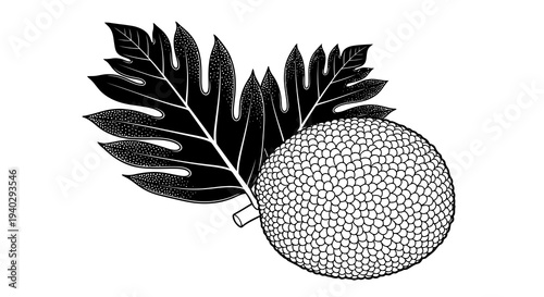 A detailed black and white illustration of a fruit with leaves.