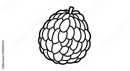 A simple black and white illustration of a fruit with a textured surface.