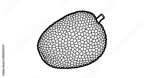 A simple line drawing of a fruit with a netted surface and a stem attached.